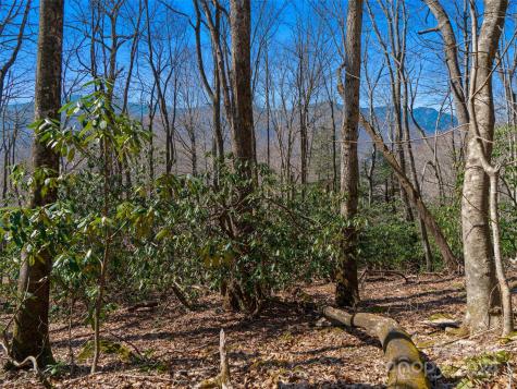 000 Big Ridge Road Burnsville NC 28714