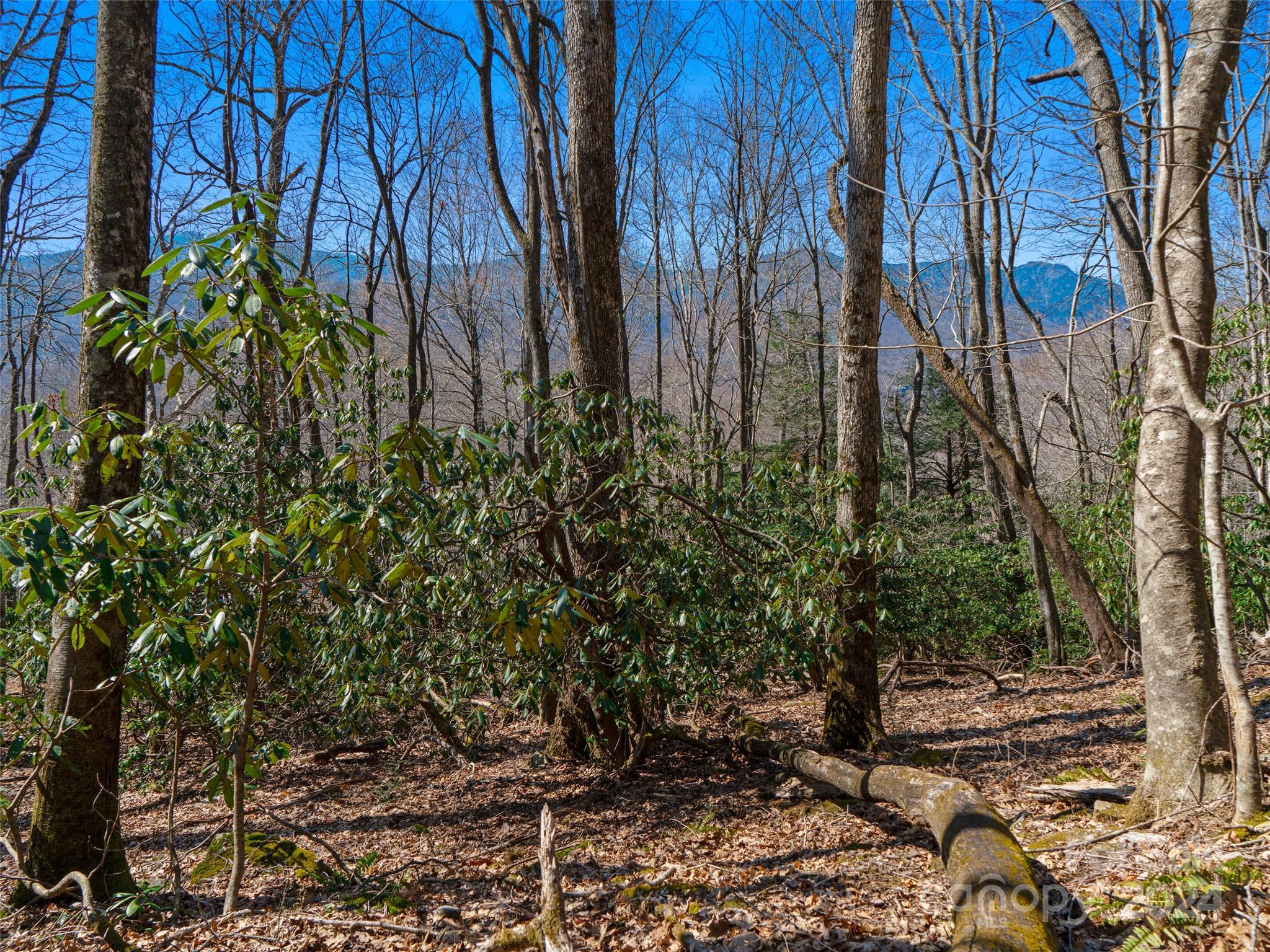 000 Big Ridge Road Burnsville NC 28714