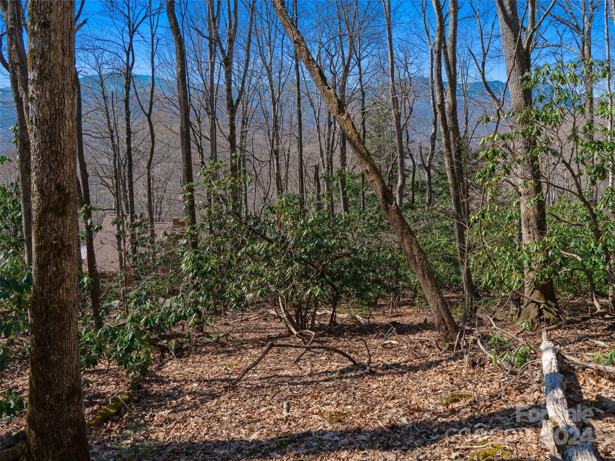 000 Big Ridge Road Burnsville NC 28714