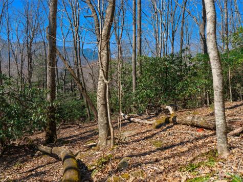 000 Big Ridge Road Burnsville NC 28714