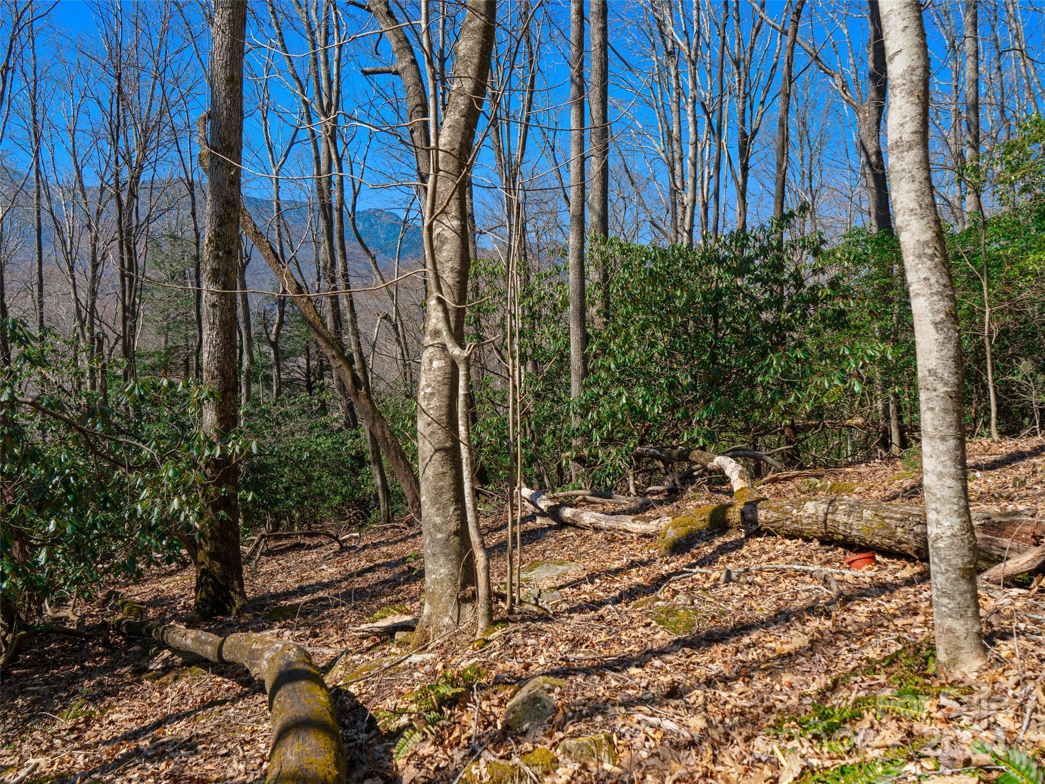000 Big Ridge Road Burnsville NC 28714