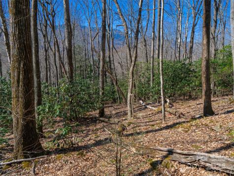 000 Big Ridge Road Burnsville NC 28714
