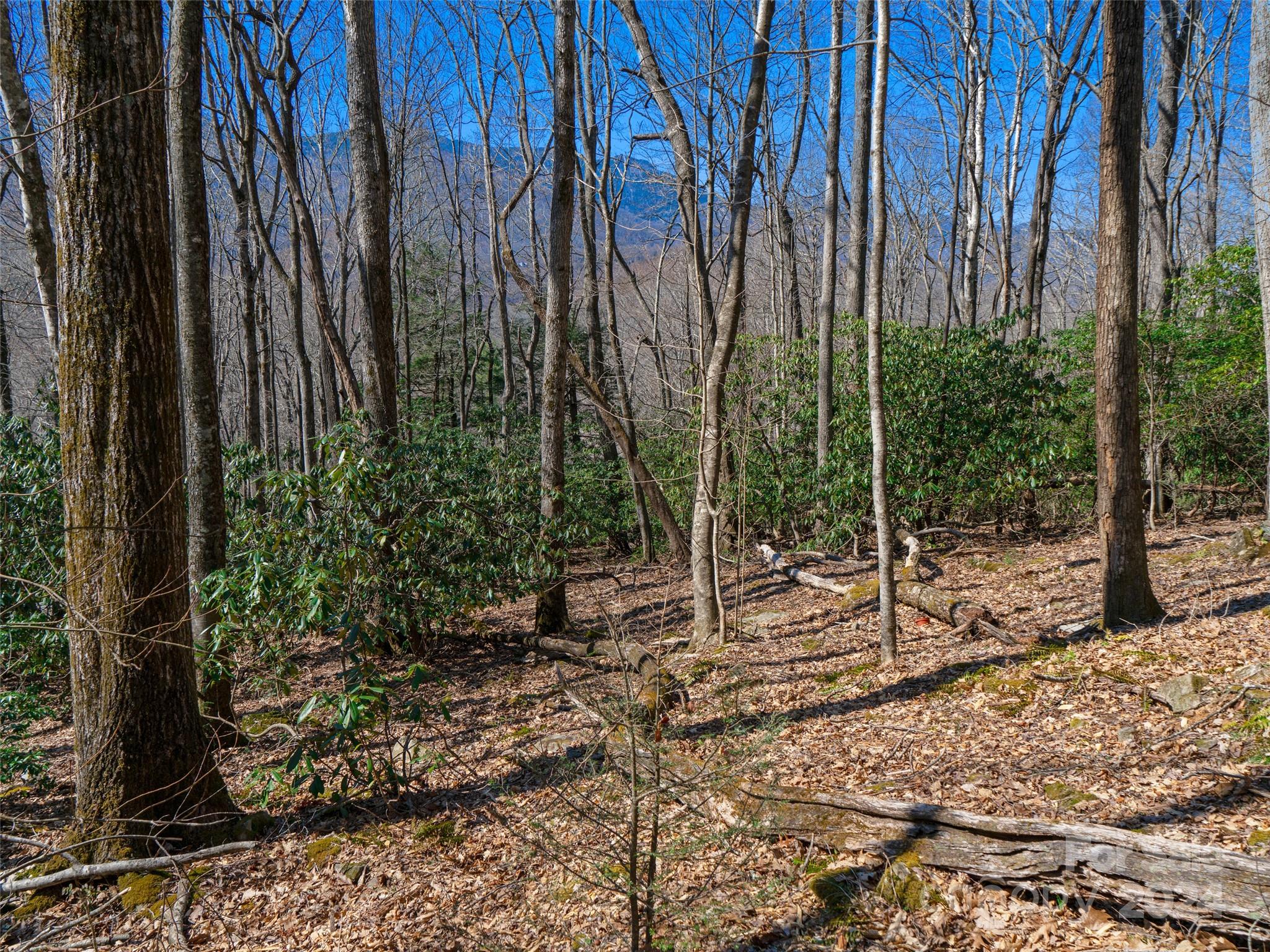 000 Big Ridge Road Burnsville NC 28714