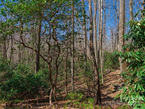 000 Big Ridge Road Burnsville NC 28714