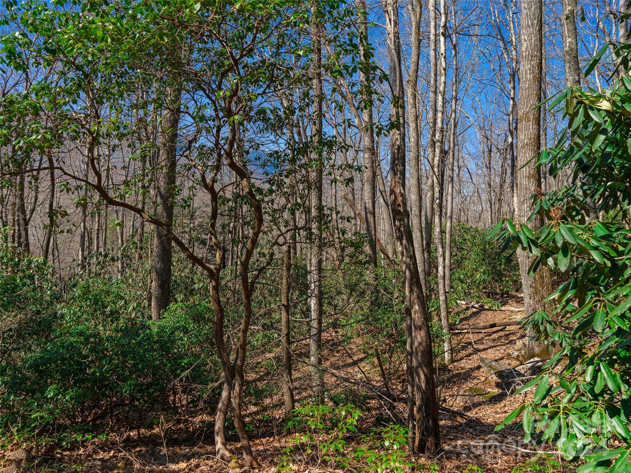 000 Big Ridge Road Burnsville NC 28714