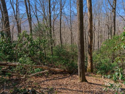 000 Big Ridge Road Burnsville NC 28714