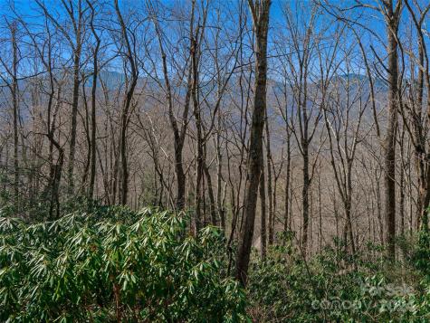 000 Big Ridge Road Burnsville NC 28714