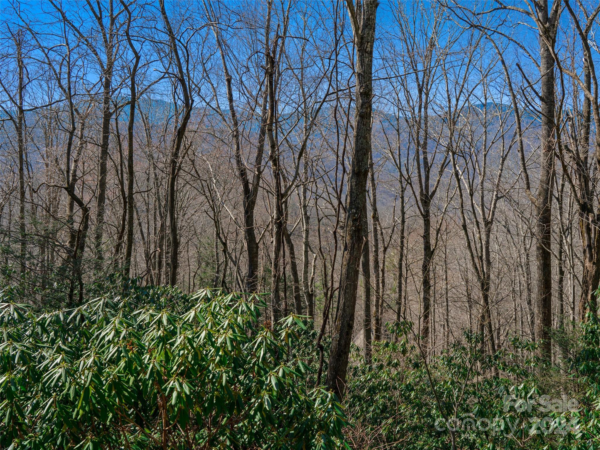 000 Big Ridge Road Burnsville NC 28714
