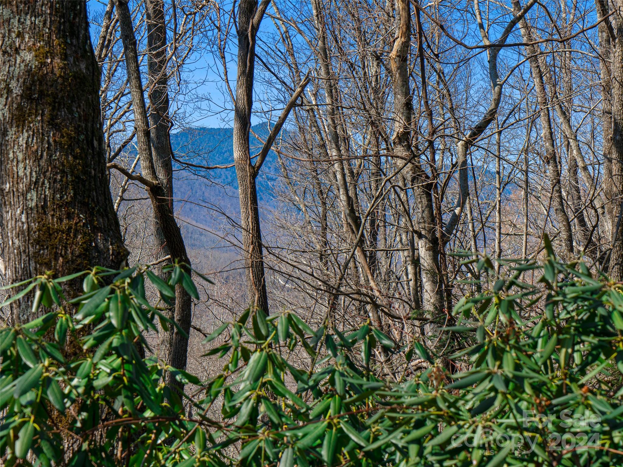 000 Big Ridge Road Burnsville NC 28714