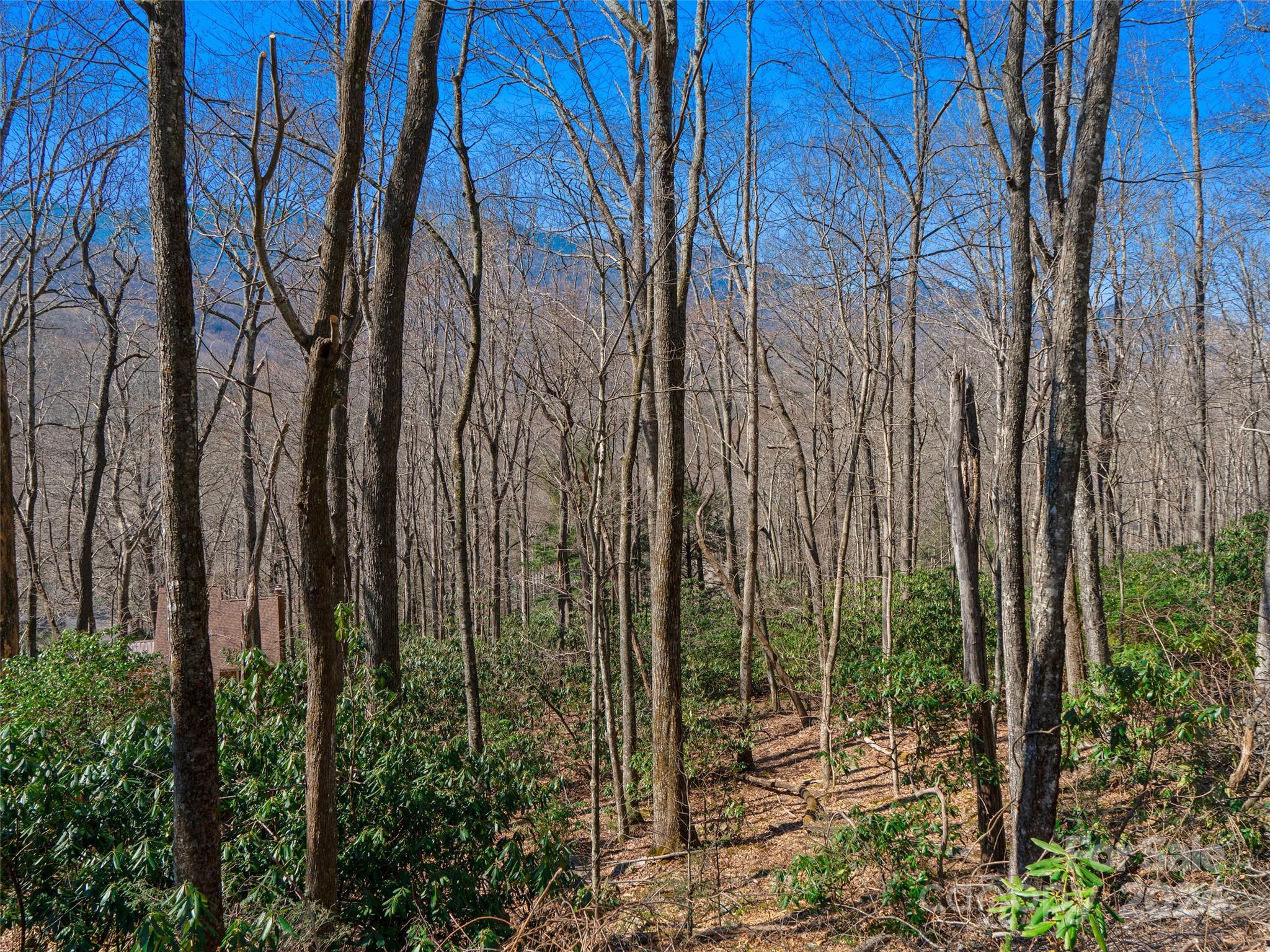 000 Big Ridge Road Burnsville NC 28714