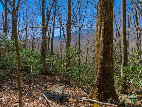 000 Big Ridge Road Burnsville NC 28714