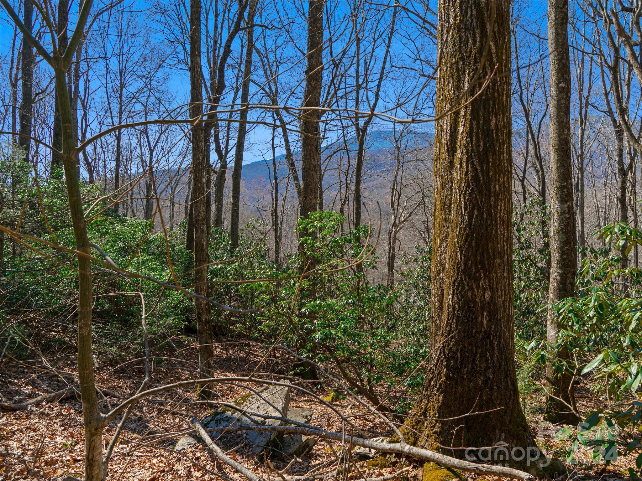000 Big Ridge Road Burnsville NC 28714