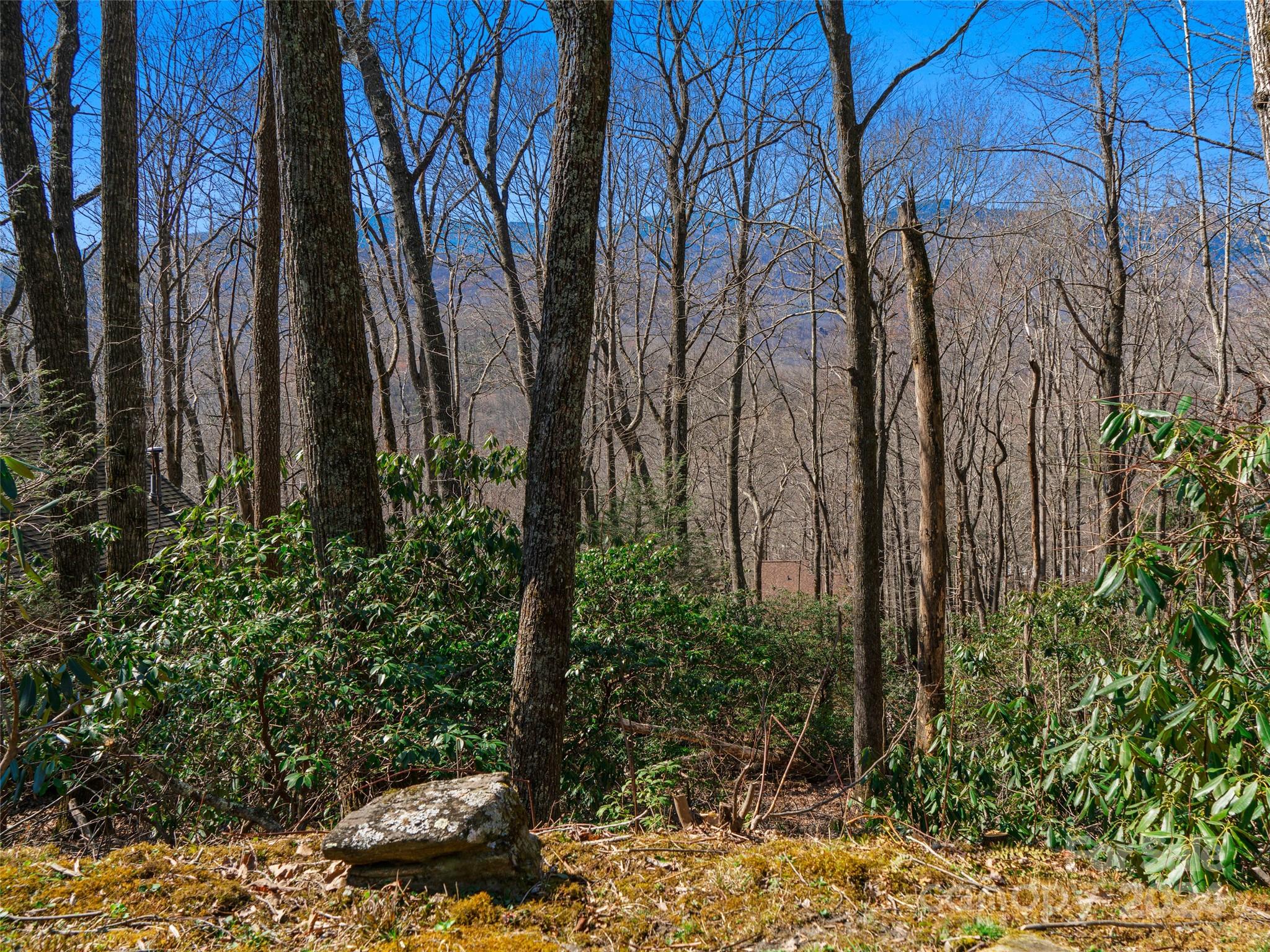 000 Big Ridge Road Burnsville NC 28714
