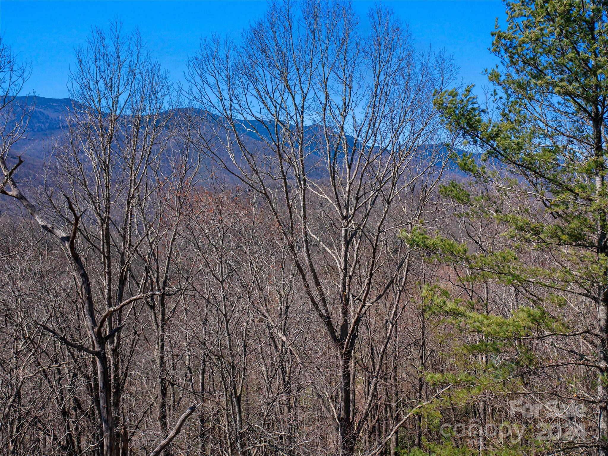 000 Big Ridge Road Burnsville NC 28714
