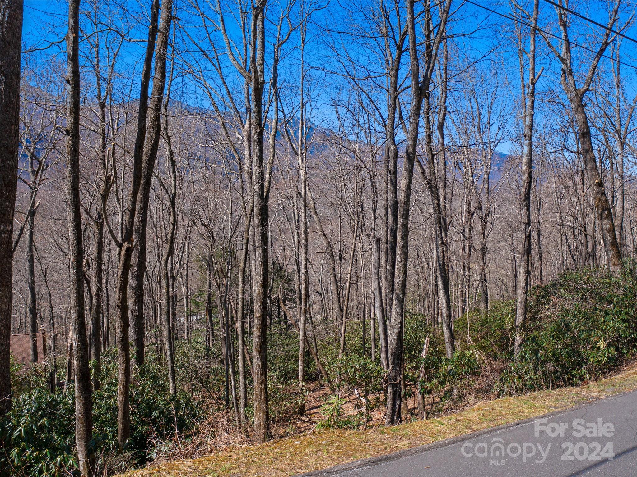 000 Big Ridge Road Burnsville NC 28714