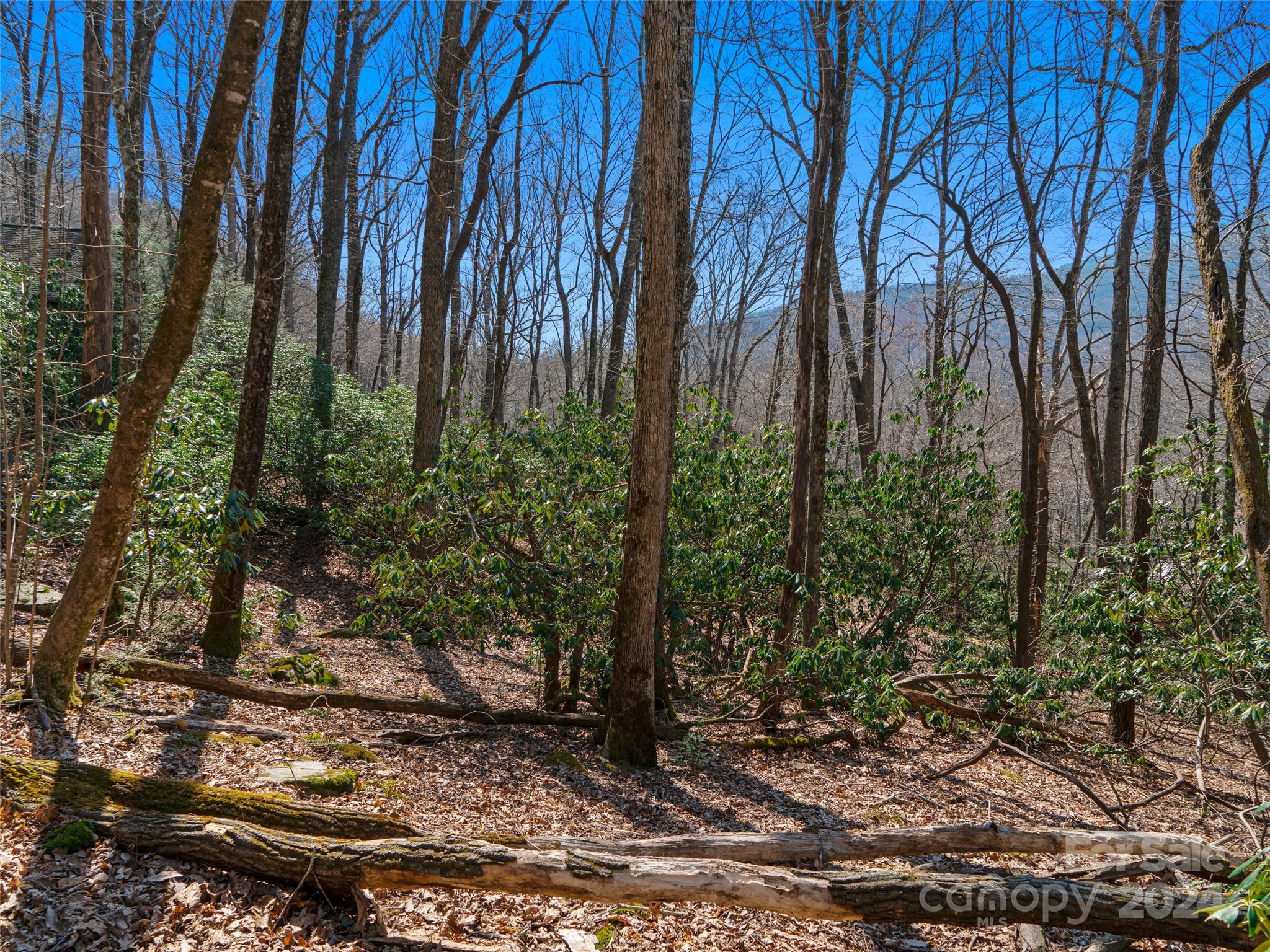 000 Big Ridge Road Burnsville NC 28714