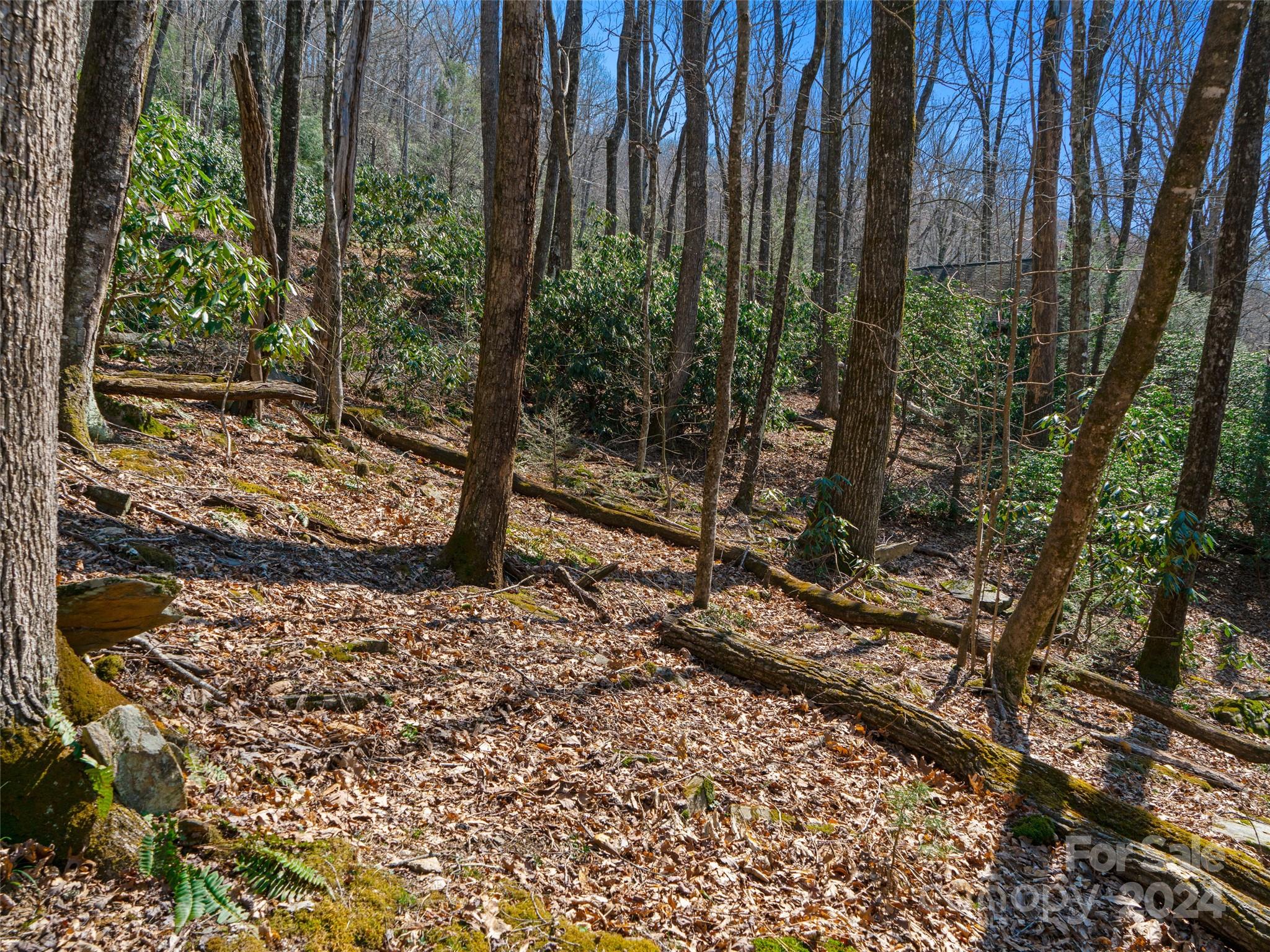 000 Big Ridge Road Burnsville NC 28714