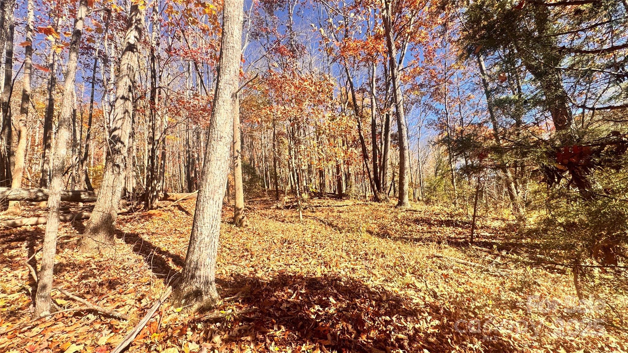 1038 Round Rock Road Lenoir NC 28645
