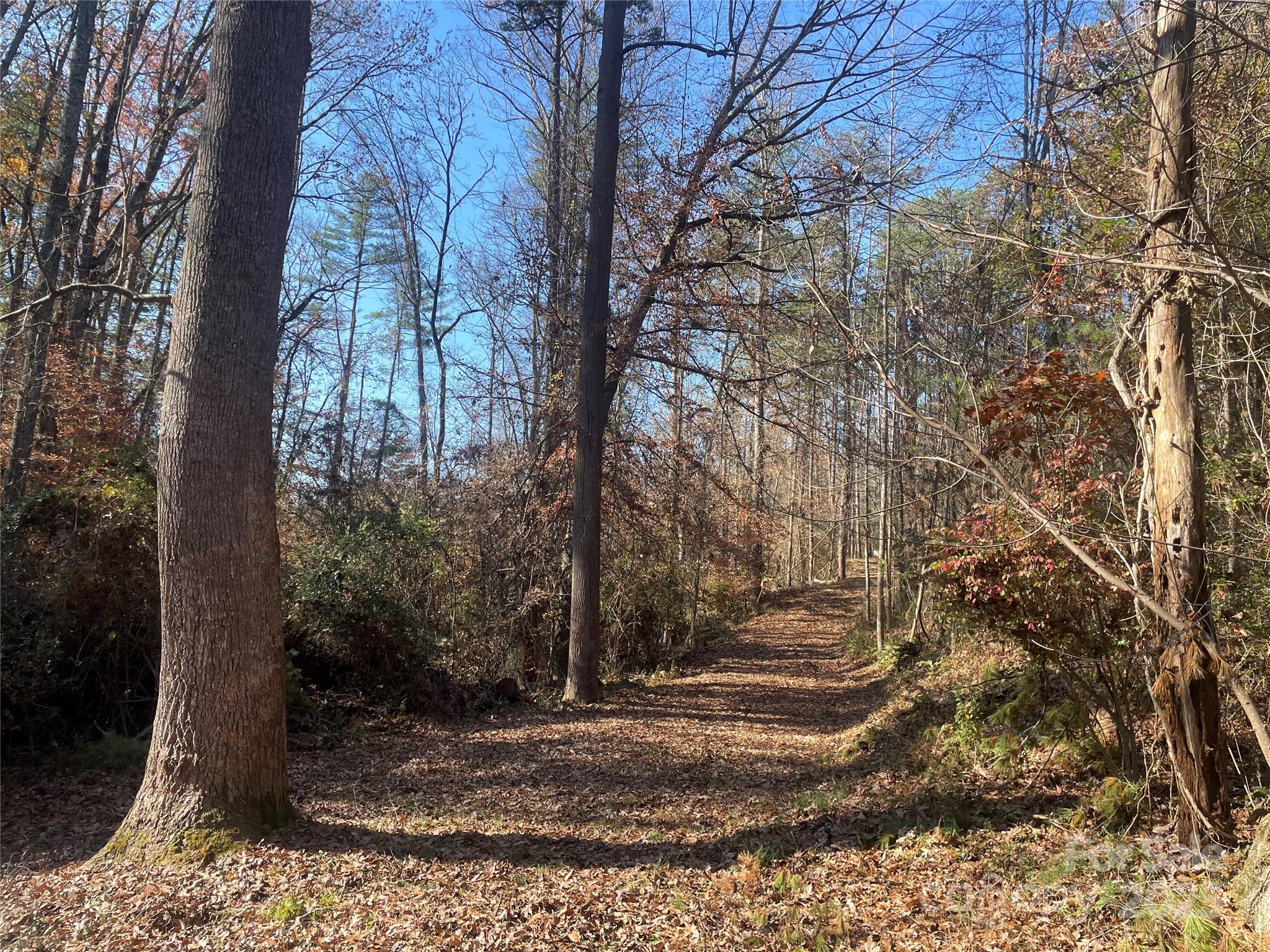 99999 Monticello Road Weaverville NC 28787