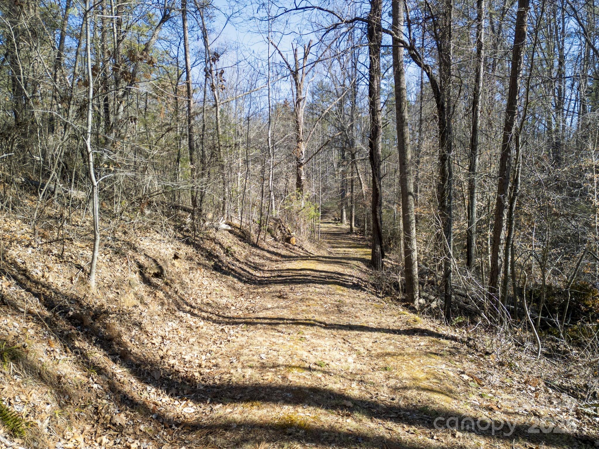 99999 Monticello Road Weaverville NC 28787