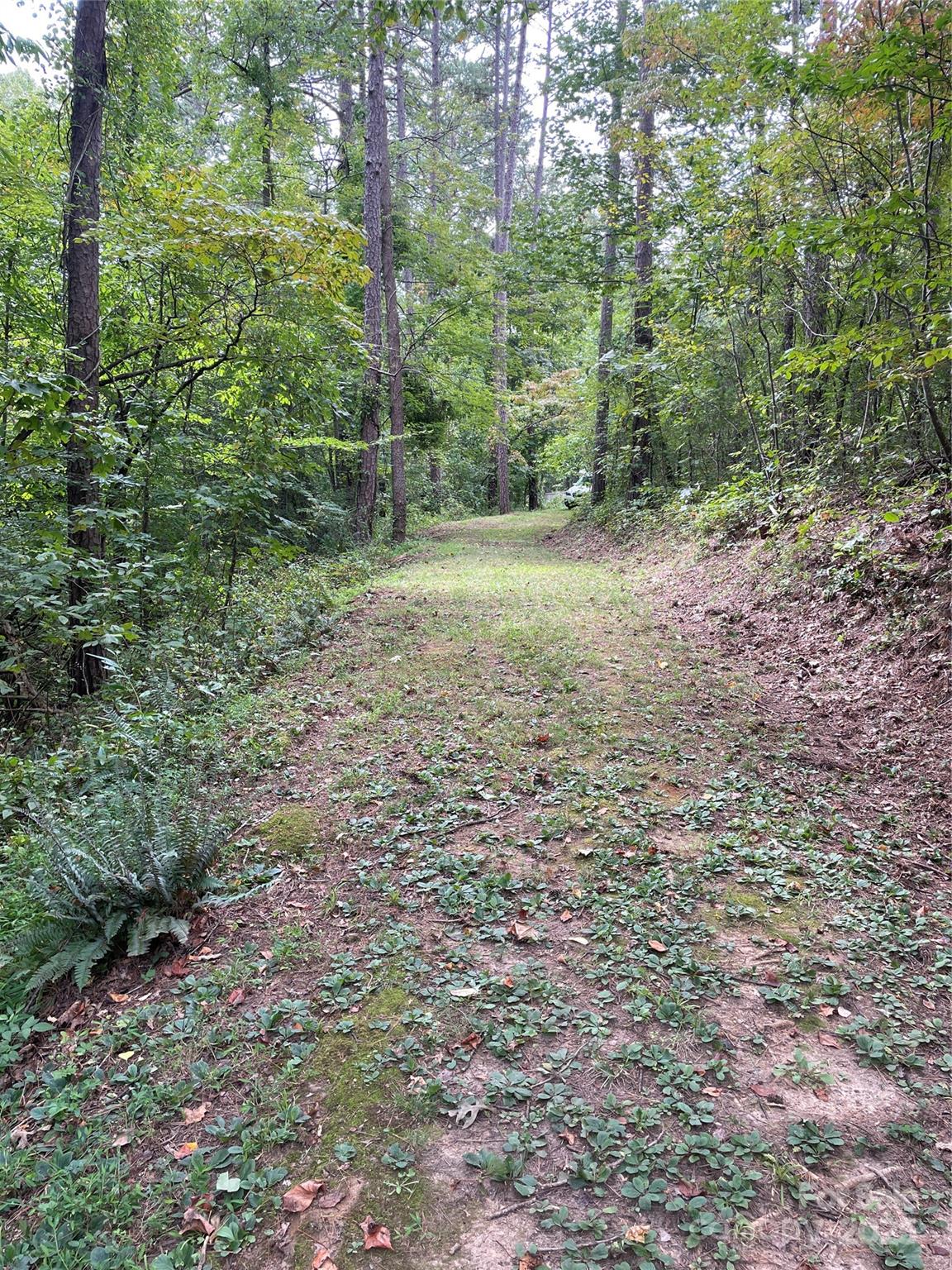 99999 Monticello Road Weaverville NC 28787