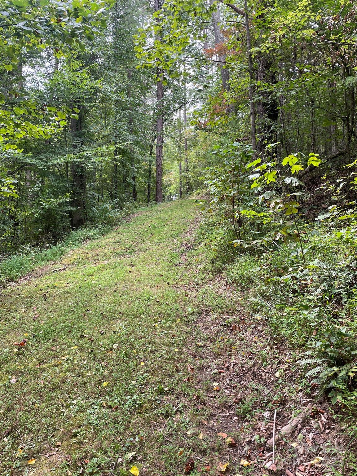 99999 Monticello Road Weaverville NC 28787