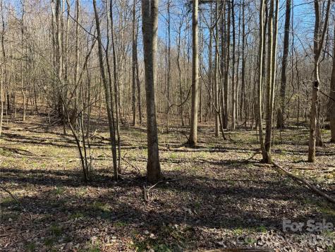 5700 Bentley Ridge Drive Davidson NC 28036