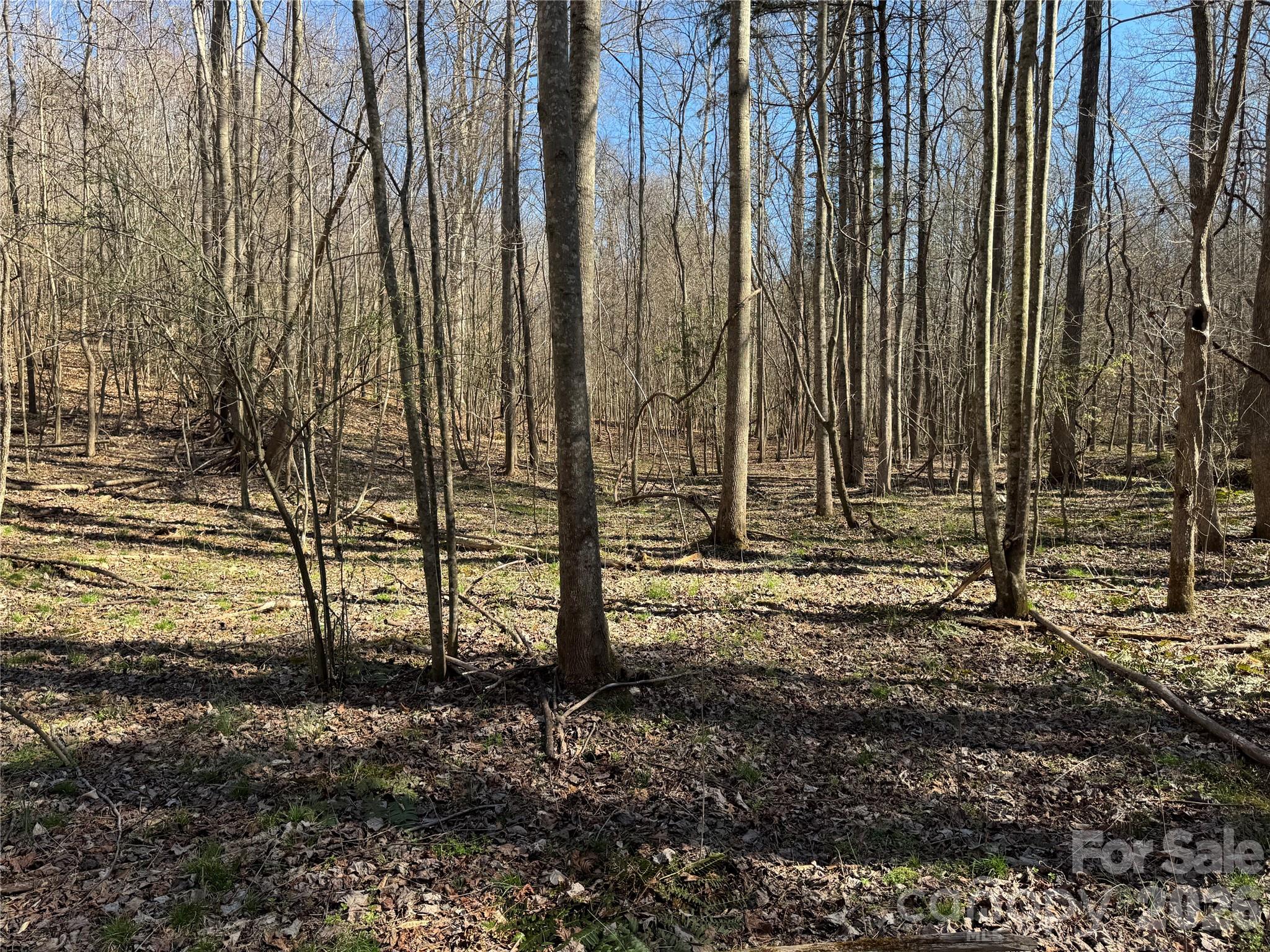 5700 Bentley Ridge Drive Davidson NC 28036