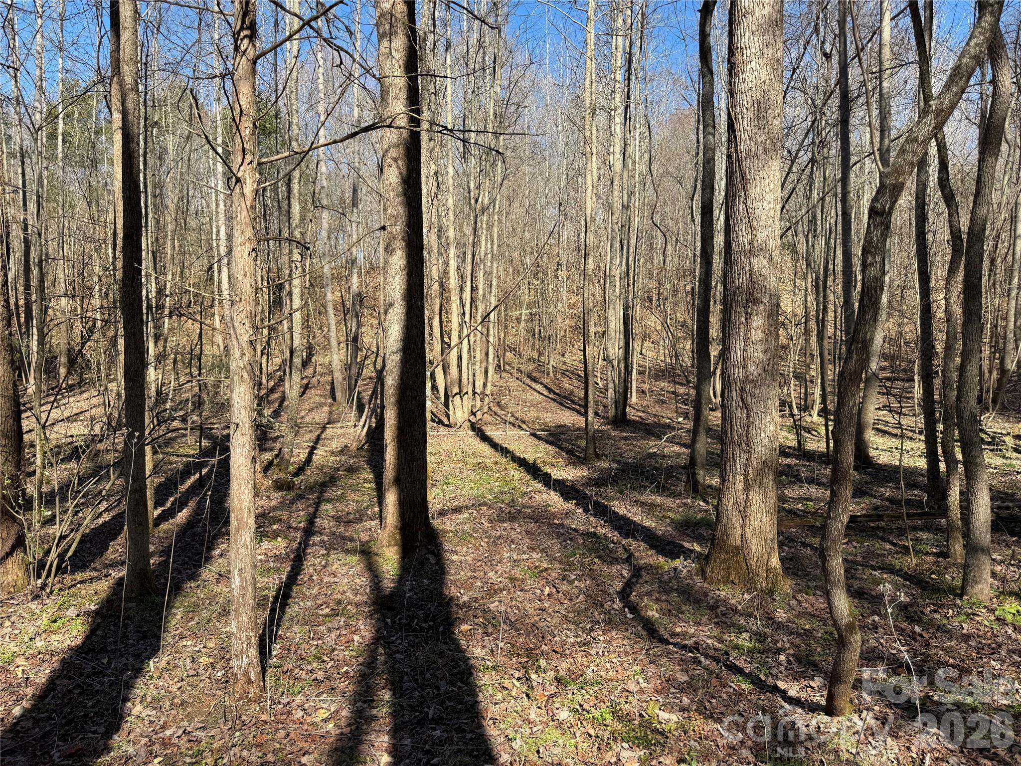 5700 Bentley Ridge Drive Davidson NC 28036
