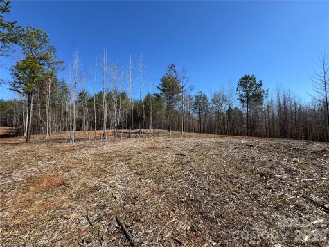 5700 Bentley Ridge Drive Davidson NC 28036