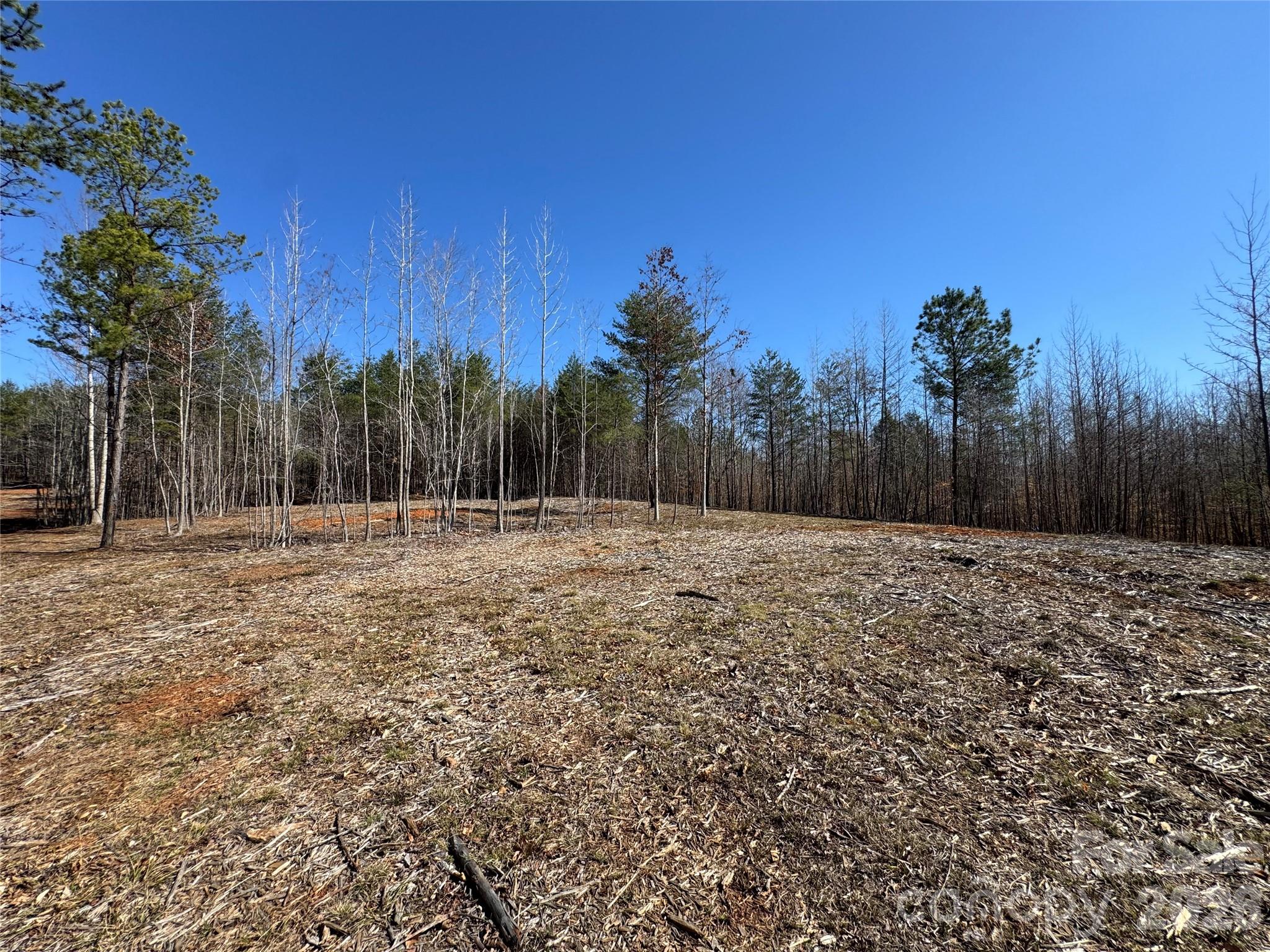 5700 Bentley Ridge Drive Davidson NC 28036