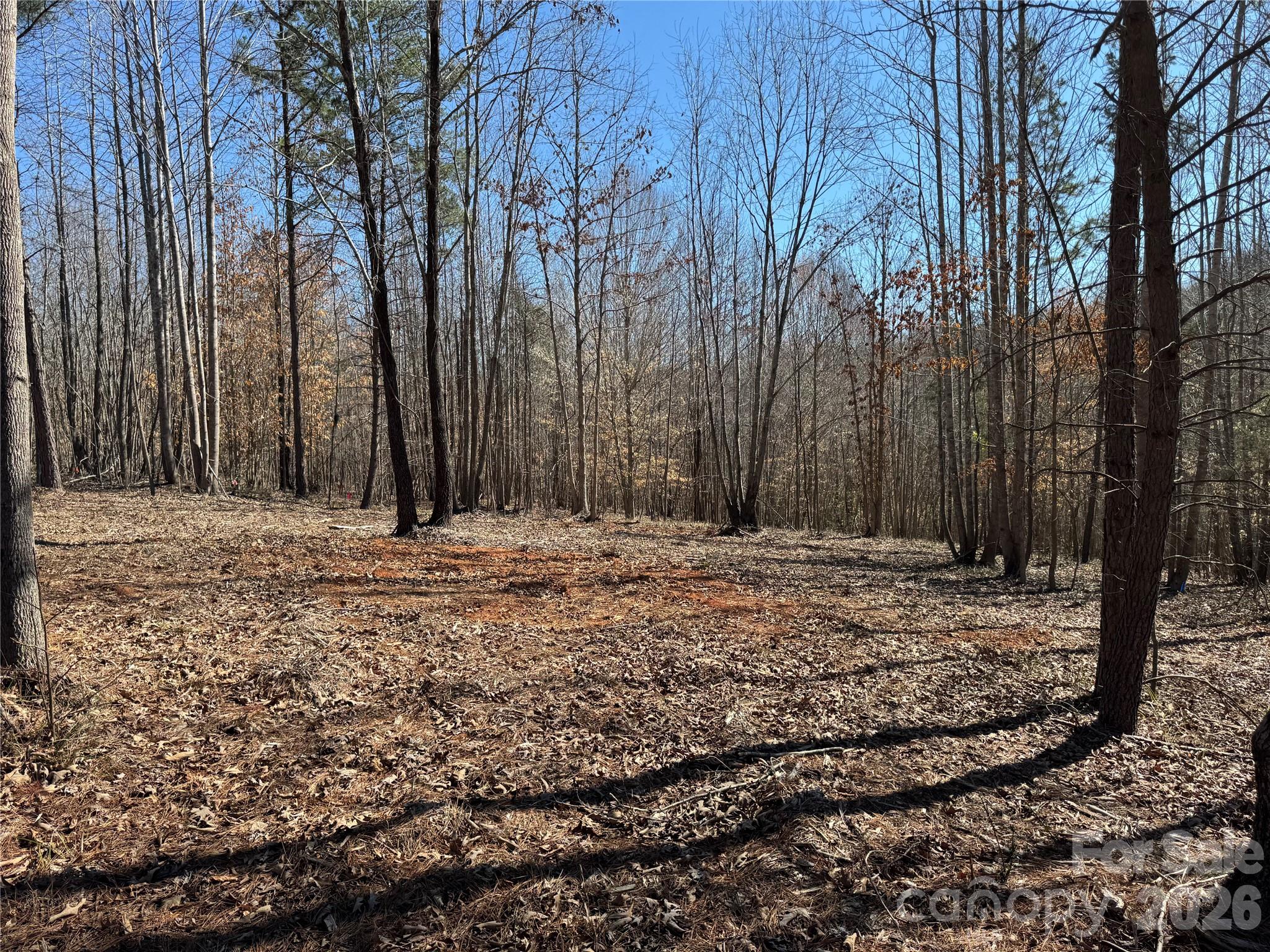 5700 Bentley Ridge Drive Davidson NC 28036