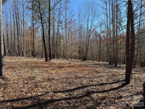 5700 Bentley Ridge Drive Davidson NC 28036