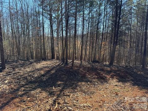 5700 Bentley Ridge Drive Davidson NC 28036