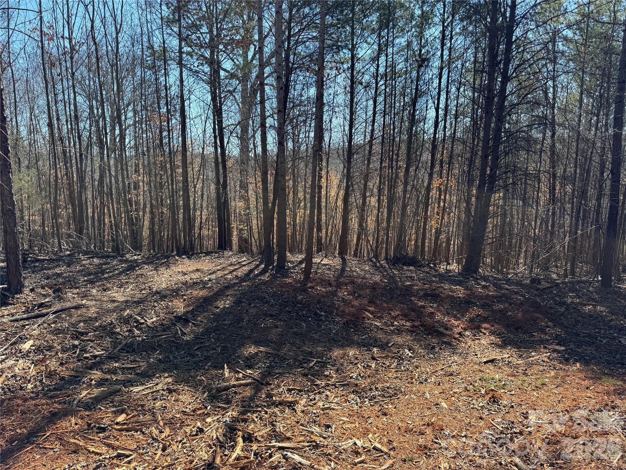 5700 Bentley Ridge Drive Davidson NC 28036