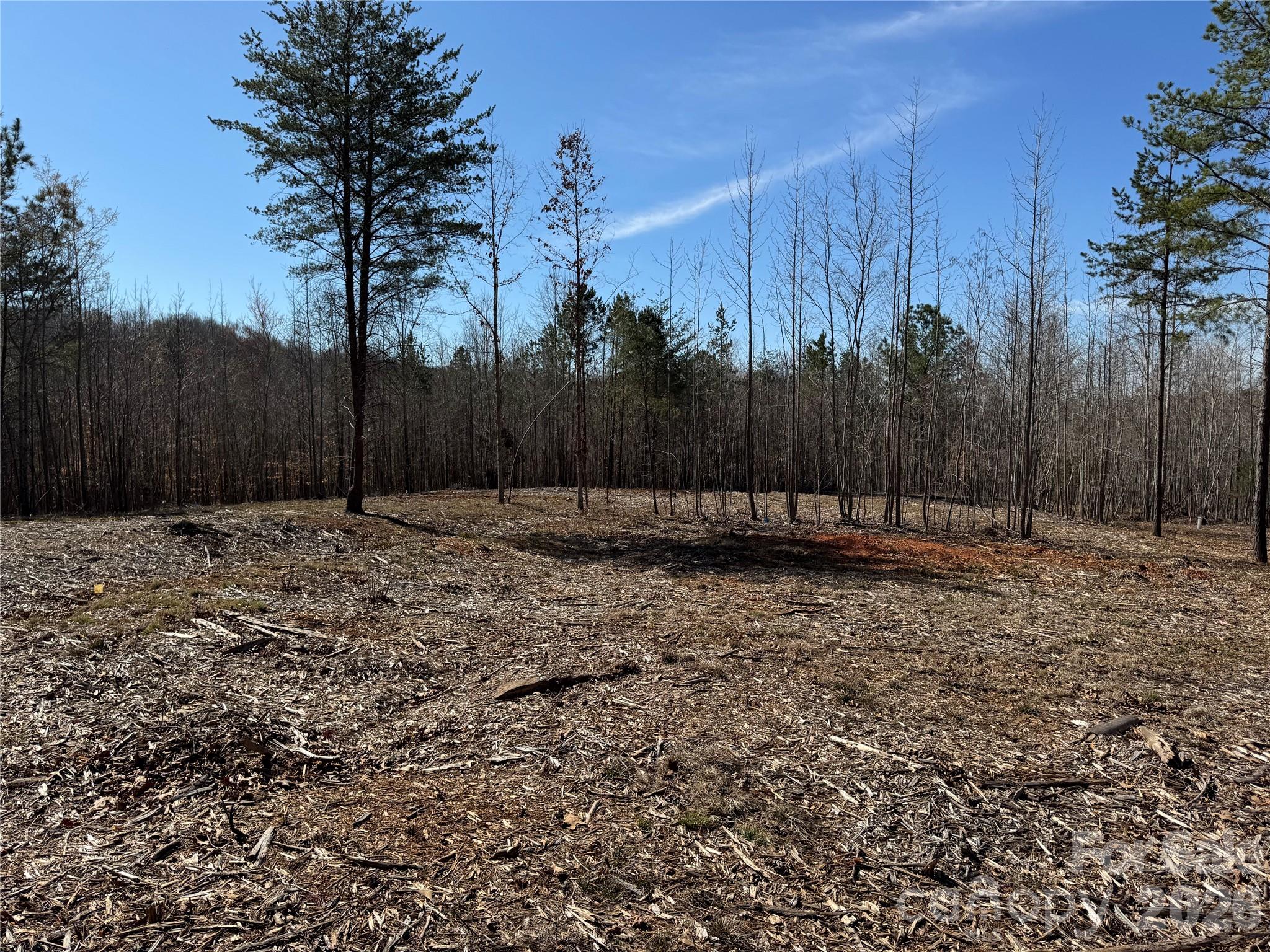 5700 Bentley Ridge Drive Davidson NC 28036
