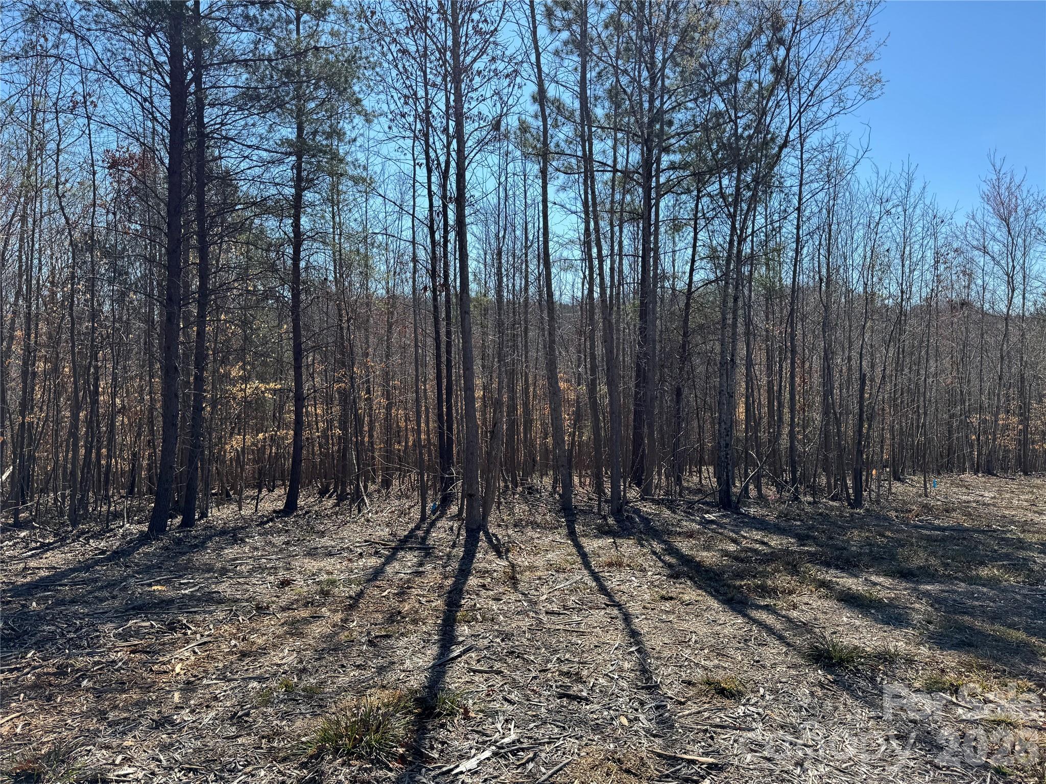 5700 Bentley Ridge Drive Davidson NC 28036