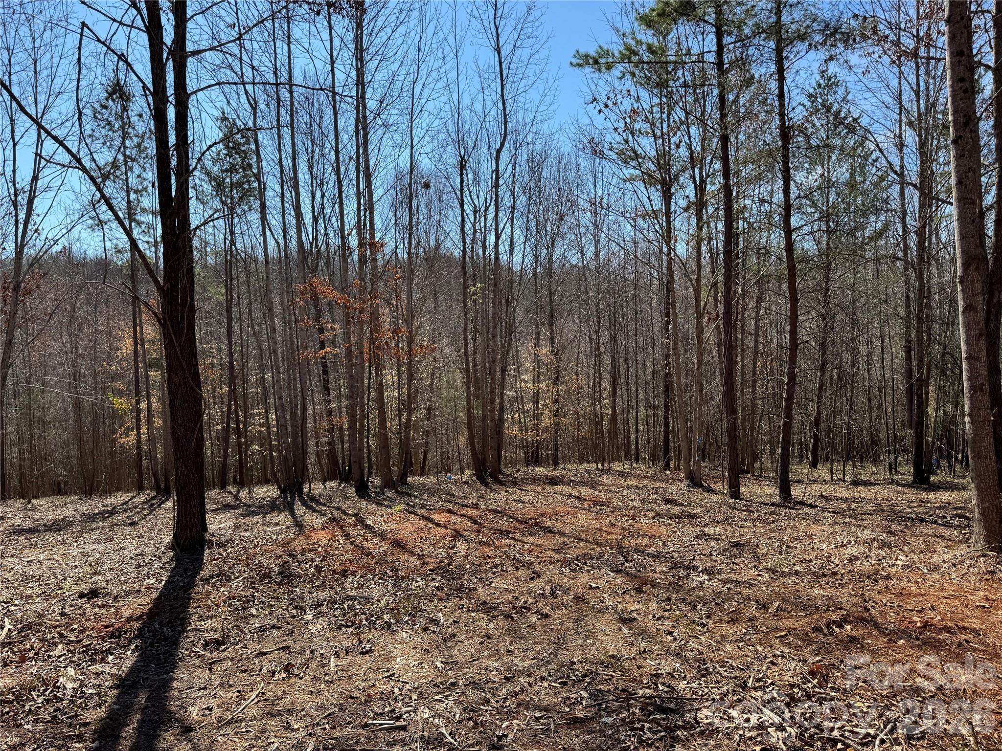 5700 Bentley Ridge Drive Davidson NC 28036