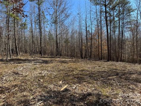 5700 Bentley Ridge Drive Davidson NC 28036