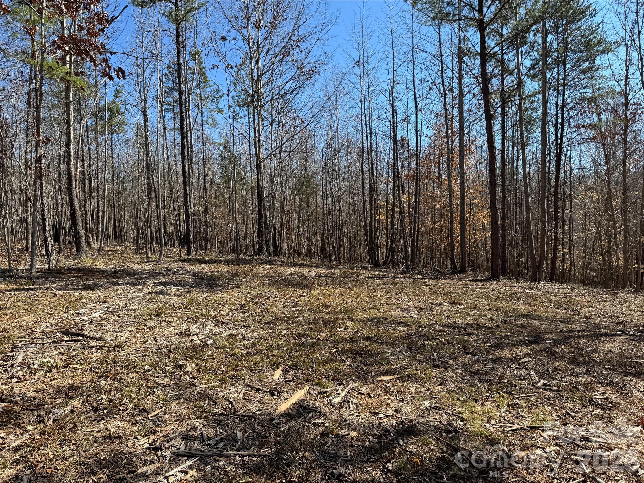 5700 Bentley Ridge Drive Davidson NC 28036