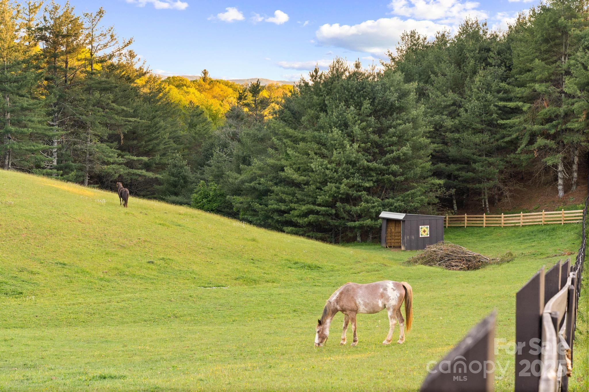 Lot 9 Sunrise Way West Jefferson NC 29694