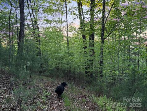 Lot 9 Sunrise Way West Jefferson NC 29694
