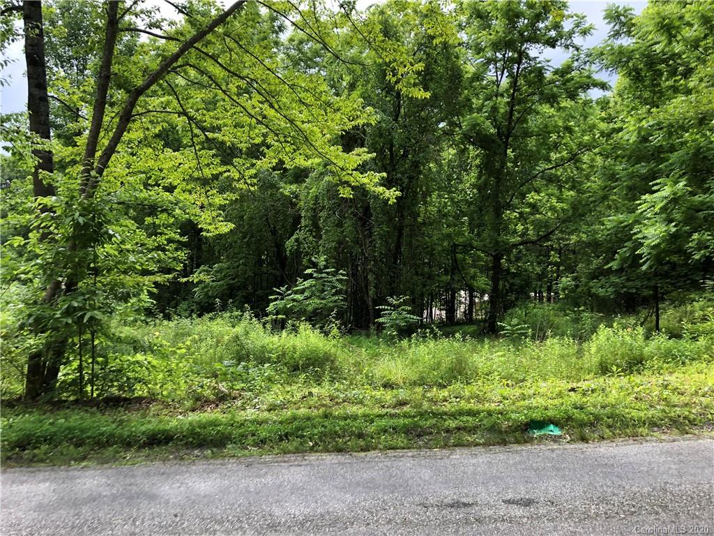 114 Connestee Road Brevard NC 28712