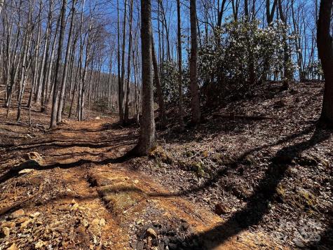 0 Rocky Face Drive Canton NC 28716