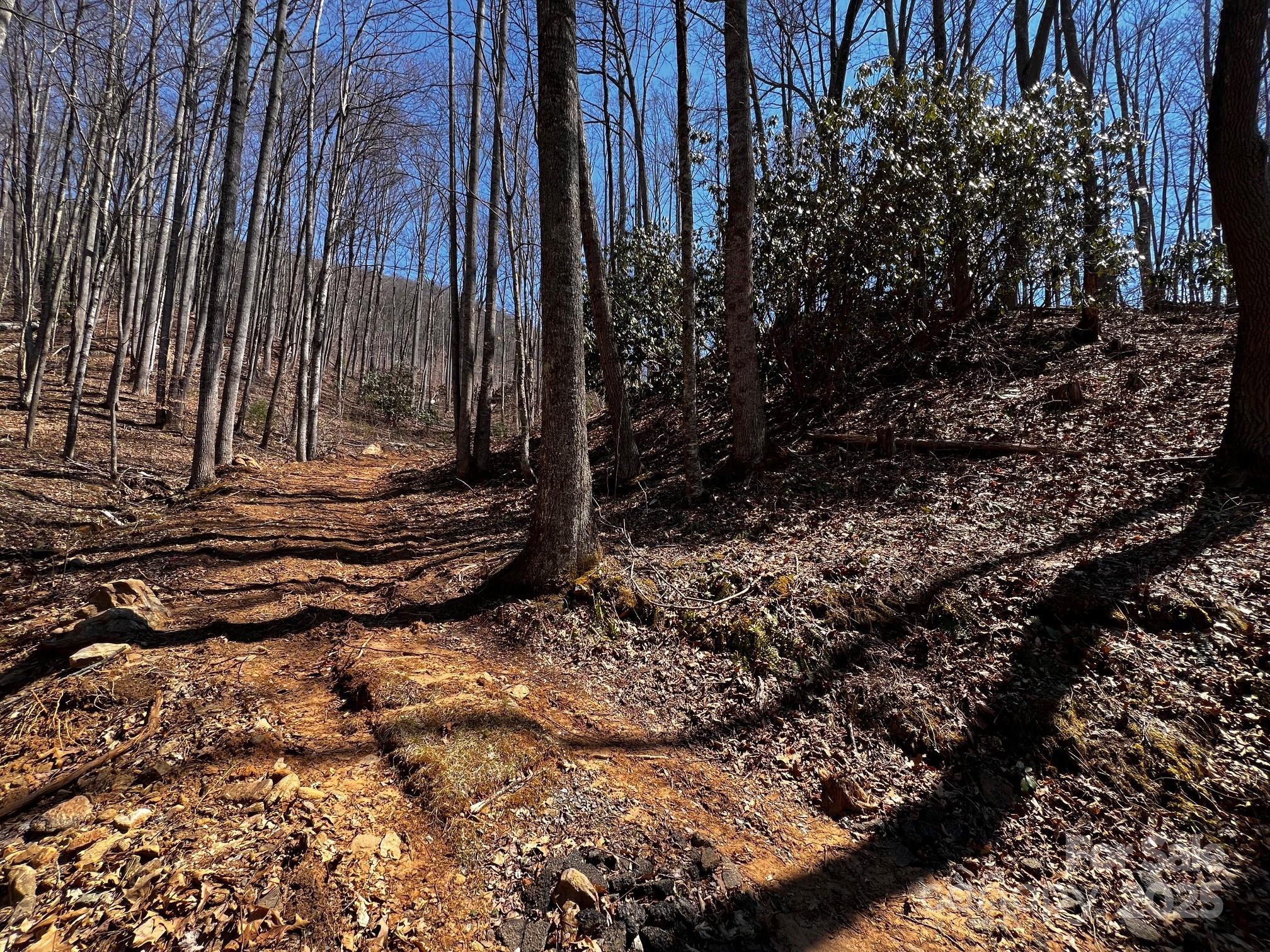 0 Rocky Face Drive Canton NC 28716