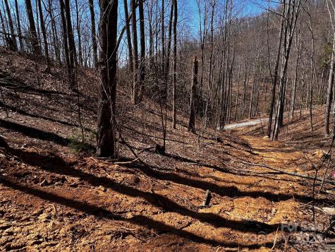 0 Rocky Face Drive Canton NC 28716
