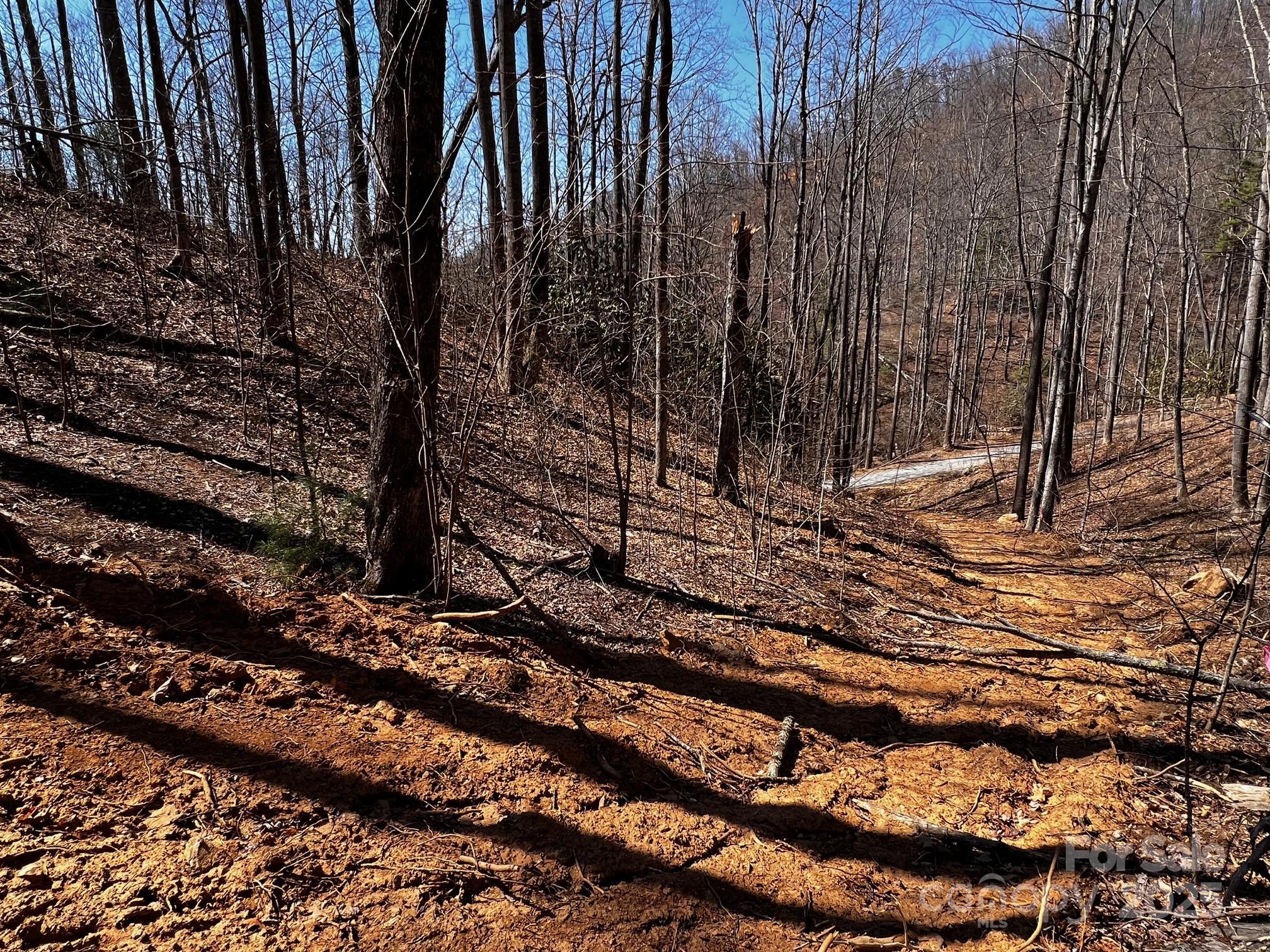 0 Rocky Face Drive Canton NC 28716