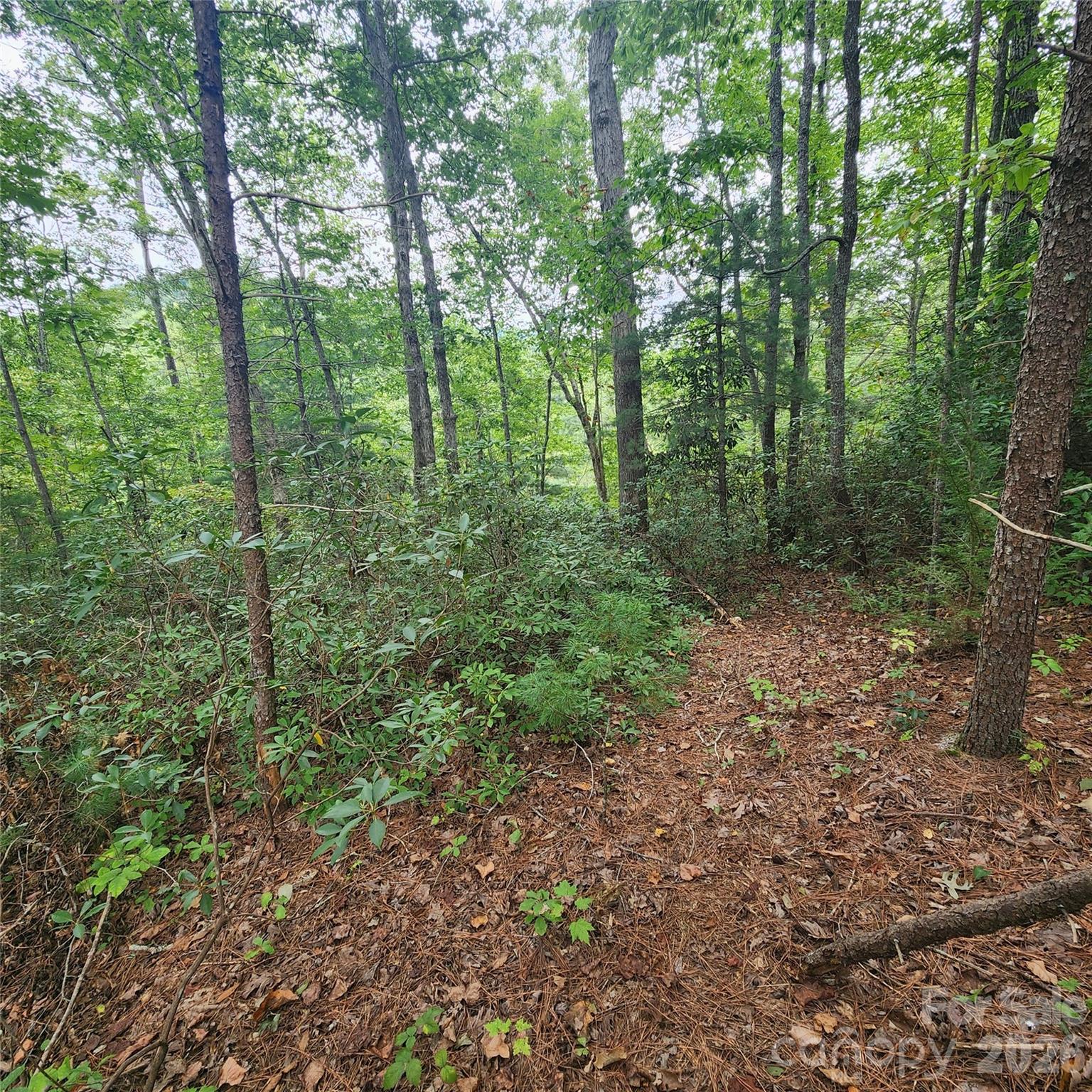 Lot 11 Waterside Drive Lake Lure NC 28746