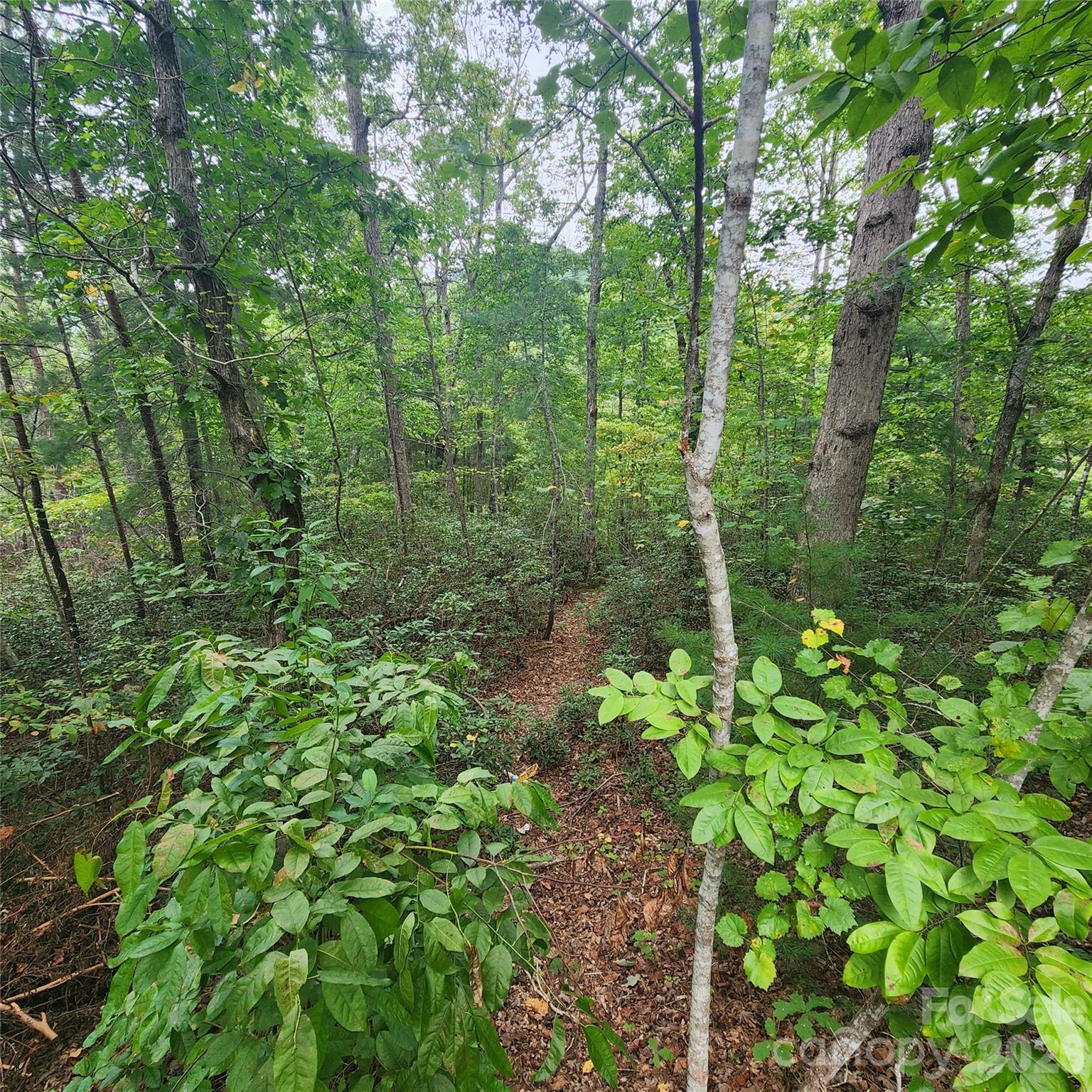 Lot 11 Waterside Drive Lake Lure NC 28746