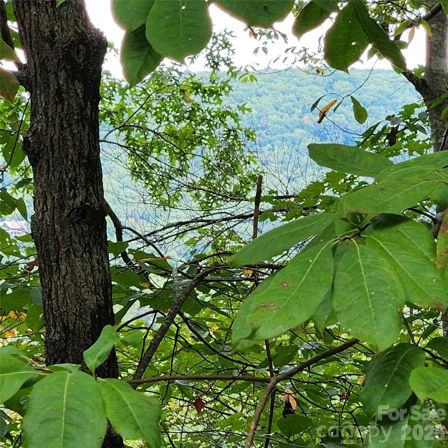 Lot 11 Waterside Drive Lake Lure NC 28746